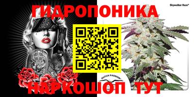 гашик Балаково